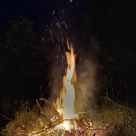 Magic Forest Glamping Kuznica (Sokolka)